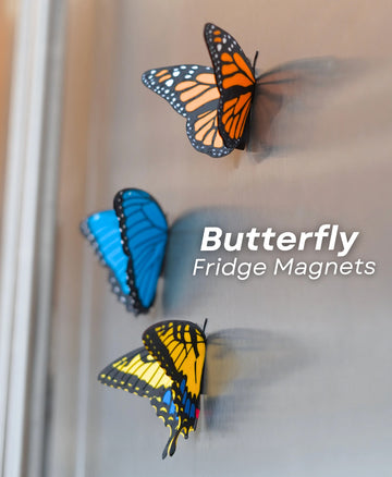Realistic Butterfly Fridge Magnets: Monarch, Morpho, Swallowtail