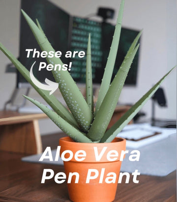 Aloe Vera Pen Plan with 10 Pens