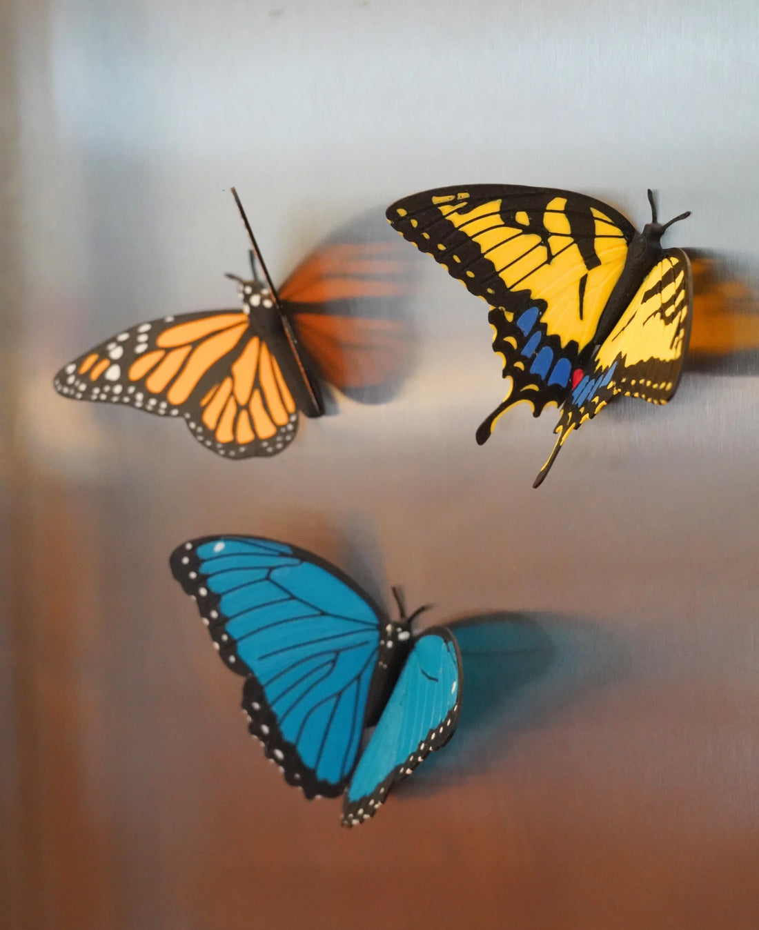 Realistic Butterfly Fridge Magnets: Monarch, Morpho, Swallowtail