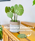 3D Printed Monstera Plant With Magnetic Coaster Leaves | House Plant Magnetic Monstera For People Who Can't Keep Plants Alive ForgeCore