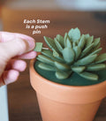 Push Pin Succulent 3D Printed Plant | Each Stem Is A Push Pin Fake HousePlant For People Who Can't Keep House Plants Alive Decor ForgeCore