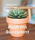 Push Pin Succulent 3D Printed Plant | Each Stem Is A Push Pin Fake HousePlant For People Who Can't Keep House Plants Alive Decor ForgeCore