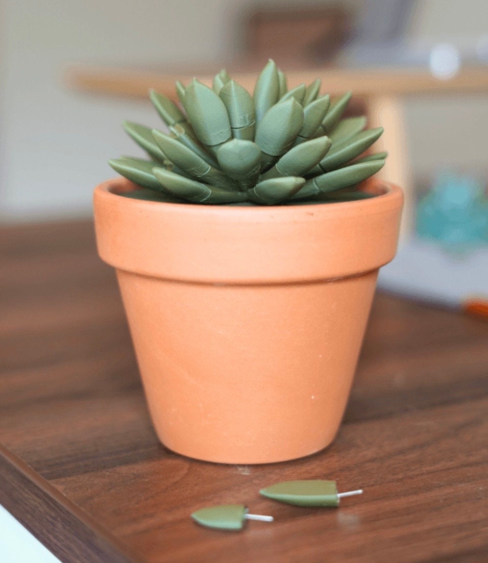 Push Pin Succulent 3D Printed Plant | Each Stem Is A Push Pin Fake HousePlant For People Who Can't Keep House Plants Alive Decor ForgeCore