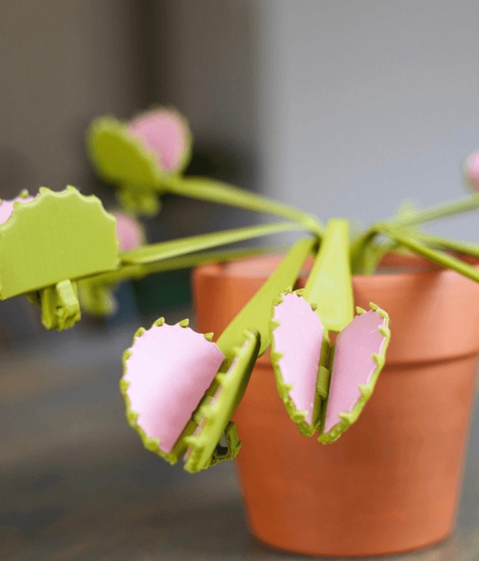 Venus Snack Trap: Unique Venus Flytrap-Inspired Bag Clips for Your Kitchen