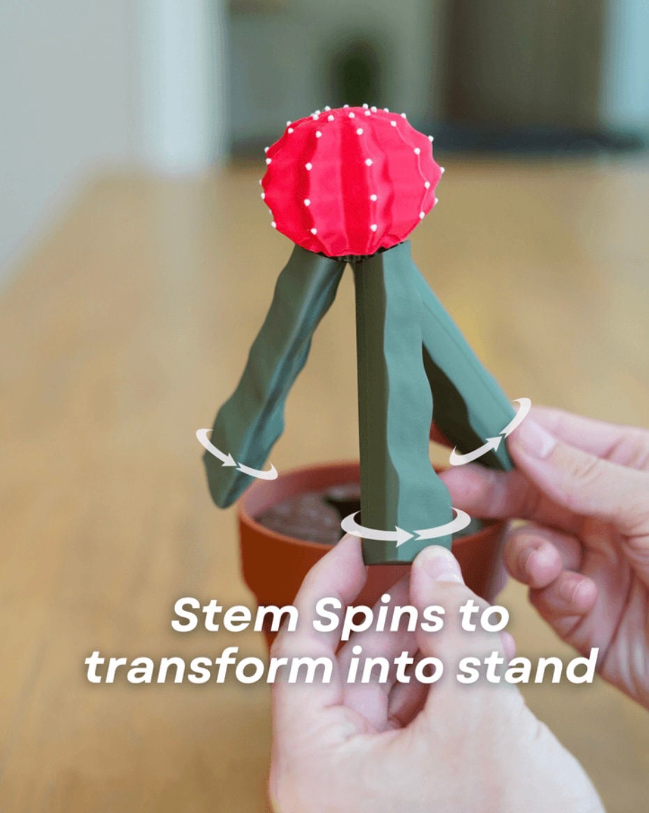 Moon Cactus Phone Stand
